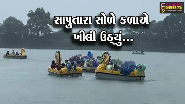 ડાંગ : ધૂમમ્સ છવાતા સાપુતારામાં સર્જાયા આહલાદક દ્રશ્યો, પ્રવાસીઓમાં બન્યું આકર્ષણનું કેન્દ્ર…