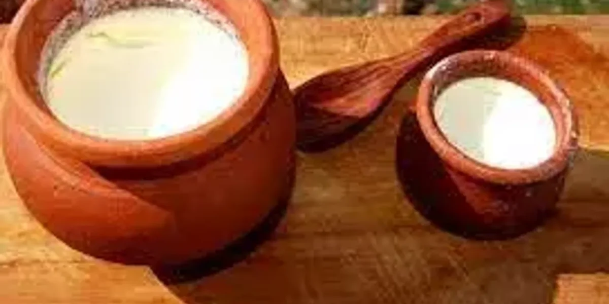 માટીના વાસણમાં દહીં જમાવવાના છે અનેક ફાયદા, જાણી લેશો તો બીજા વાસણમાં દહીં જમાવવાનું જ ભૂલી જશો….