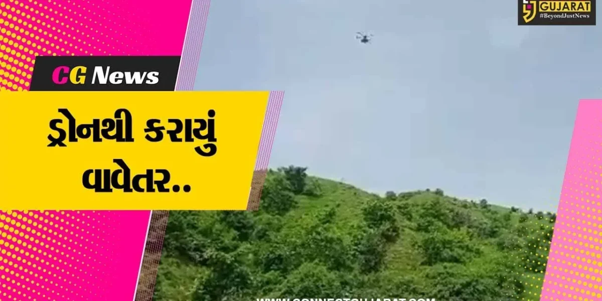 સાબરકાંઠા: પોશીના ના જંગલોમાં ડુંગરો ઉપર ડ્રોનથી બીજ- સીડબોલનું કરાયું વાવેતર, 70 હેક્ટરમાં 700 કિલો બીજનું રોપણ….