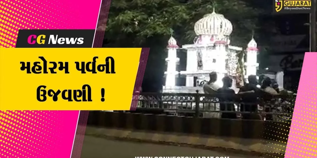 ભરૂચ: મુસ્લિમ સંપ્રદાયના મહોરમ પર્વની ઉજવણી,યા હુસેનના નારા સાથે કલાત્મક તાજિયાના જુલૂસ નીકળ્યા
