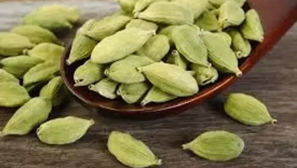 નાનકડી એલચીના છે મસમોટા ફાયદાઓ, દૂર રહેશે અનેક બીમારીઓ, જાણો તેના ફાયદા વિષે…..