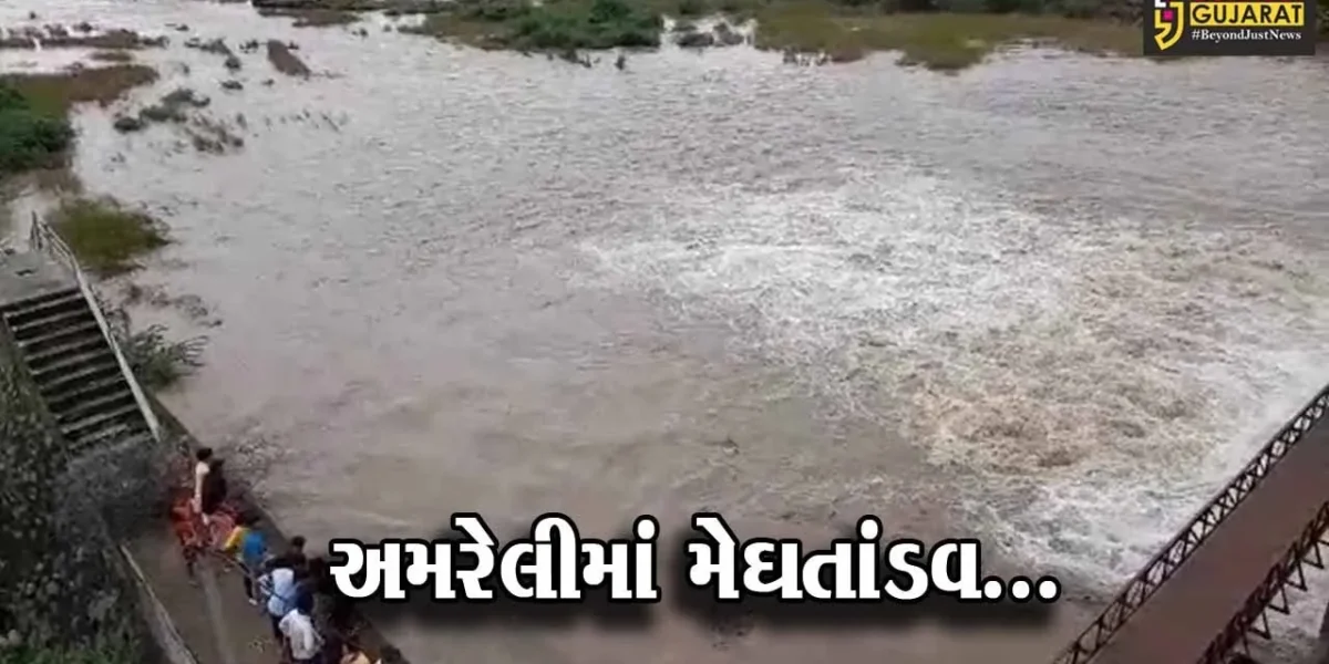 અમરેલી : અવિરત મેઘ મહેર થતાં ઠેબી ડેમના 3 દરવાજા ખોલવાની તંત્રને ફરજ, કાંઠા વિસ્તારના ગામો એલર્ટ…