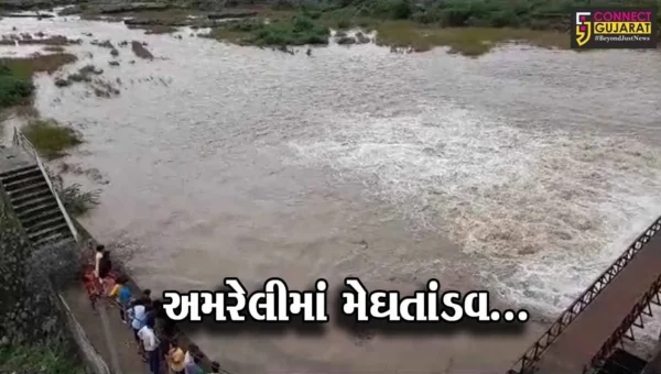 અમરેલી : અવિરત મેઘ મહેર થતાં ઠેબી ડેમના 3 દરવાજા ખોલવાની તંત્રને ફરજ, કાંઠા વિસ્તારના ગામો એલર્ટ…