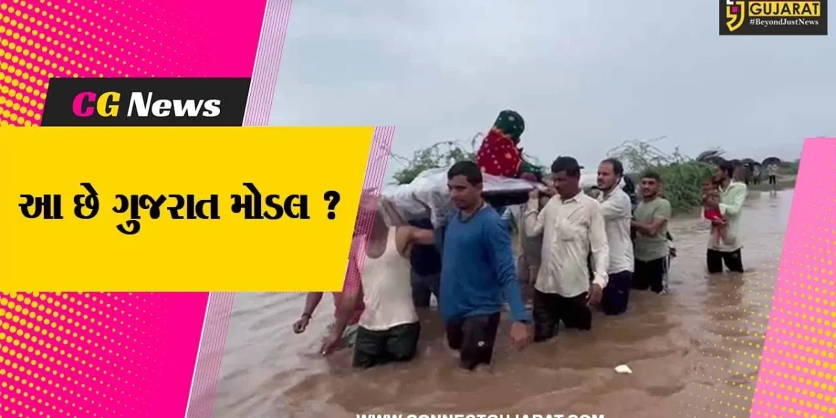 ગીરસોમનાથ : પ્રસૂતિની પીડા થતા ગ્રામજનોએ પાણીના પ્રવાહ વચ્ચે મહિલાને હોસ્પિટલ સુધી પહોંચાડી,જુઓ દિલધડક વિડીયો