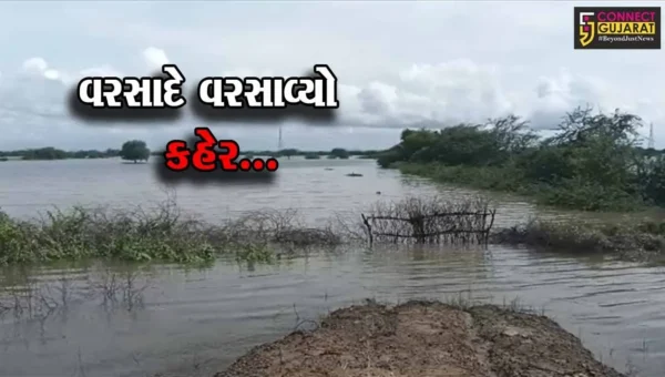 ભાવનગર : ભારે વરસાદ વરસતા કાળુભા નદીમાં આવ્યું પૂર, ભાલ પંથક બેટમાં ફેરવાતા ખેડૂતોને હાલાકી…