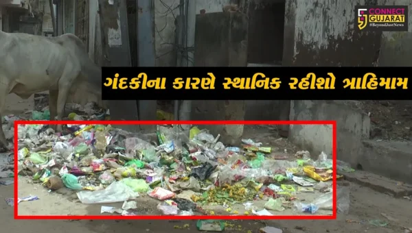 સાબરકાંઠા: પ્રાંતિજ લાલદરવાજા વિસ્તારમાં ગંદકીના કારણે સ્થાનિક રહીશો ત્રાહિમામ