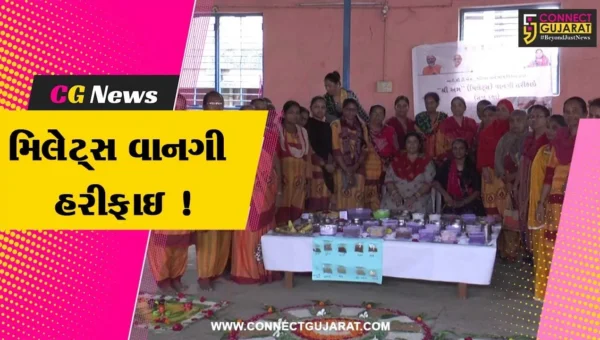 સાબરકાંઠા: પ્રાંતિજમાં શ્રી અન્ન મિલેટ્સ વાનગી હરીફાઇ યોજાય, આંગણવાડી બહેનોએ લીધો ભાગ