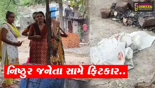 વડોદરા : બાપોદની ધનલક્ષ્મી સોસાયટીમાંથી ત્યજેલું મૃત બાળક મળી આવતા ચકચાર, પોલીસ તપાસ શરૂ…