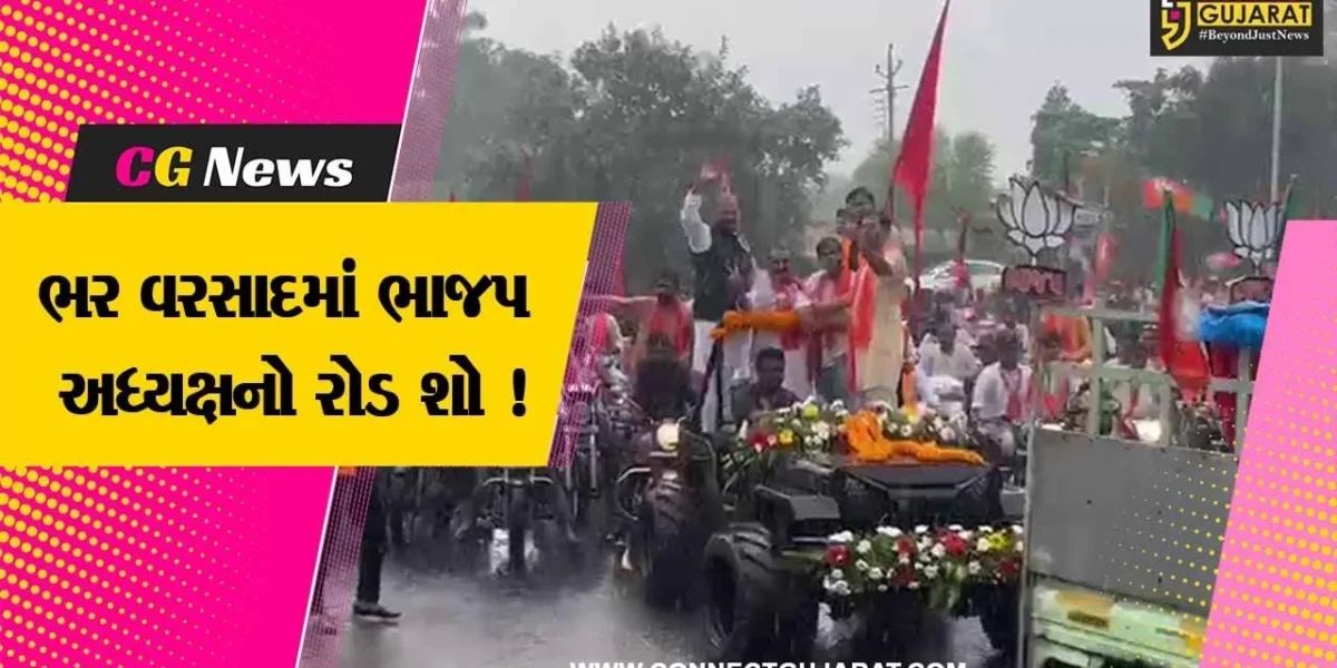 વડોદરા: ભર વરસાદમાં ભાજપ અધ્યક્ષ જેપી નડ્ડાનો રોડ શો યોજાયો,કાર્યકર્તાઓને કર્યું સંબોધન