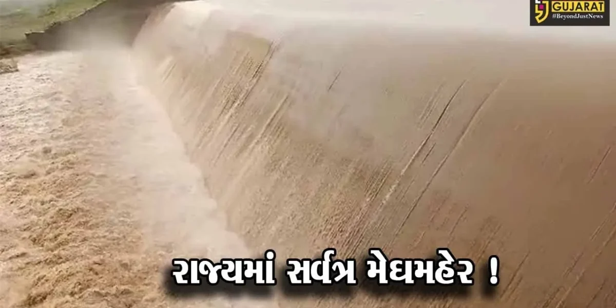 રાજયમાં છેલ્લા 24 કલાકમાં 205 તાલુકામાં વરસાદ, વલસાડના ધરમપુર માં 9.5 ઇંચ વરસાદ નોંધાયો