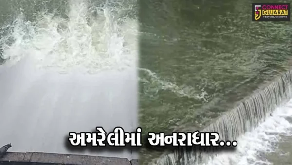 અમરેલી : વરસાદના ત્રીજા રાઉન્ડની શરૂઆતમાં તમામ જળાશયો છલકાયા, ધરતીપુત્રોમાં ખુશીનો માહોલ…