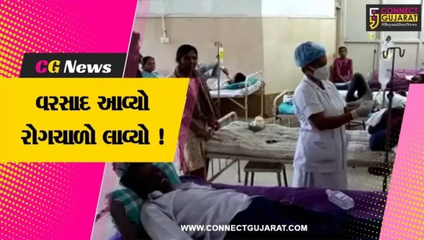 વડોદરા: વરસાદી સિઝનમાં રોગચાળો વકર્યો, તાવના 400 કેસ નોંધાયા