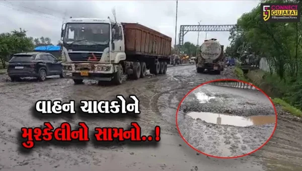 ભરૂચ : ઝઘડીયા GIDC વિસ્તારના મુખ્ય માર્ગ અત્યંત બિસ્માર બનતા વાહન ચાલકોની હાલત કફોડી…