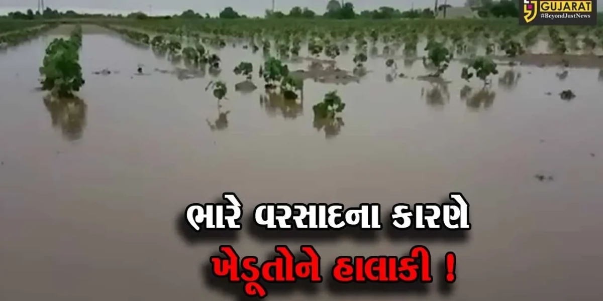 સાબરકાંઠા: ભારે વરસાદના કારણે ખેતીના પાકને વ્યાપક નુકશાન, ઉભા પાક પર પાણી ફરી વળ્યુ