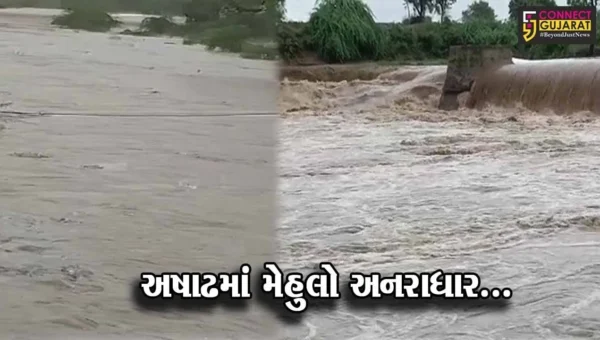 અષાઢમાં મેહુલો અનરાધાર… : રાજ્યના 200 તાલુકામાં સાર્વત્રિક વરસાદ, આગામી 48 કલાક ભારે વરસાદની આગાહી