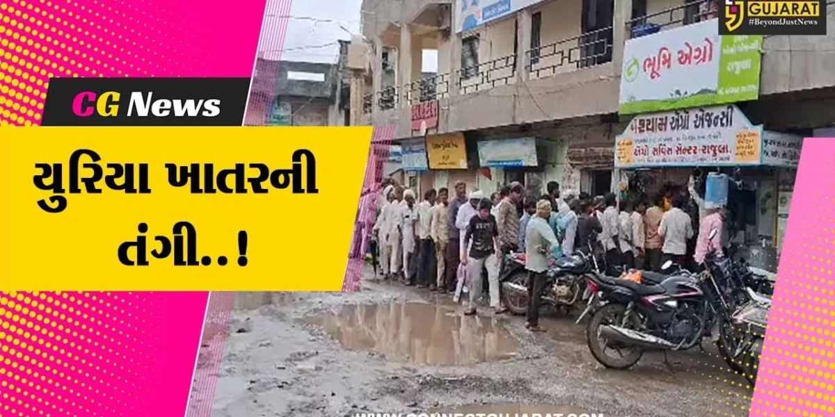 અમરેલી : રાજુલા અને જાફરાબાદ પંથકમાં યુરિયા ખાતરની તંગી સર્જાતા ખેડૂતો આકુળ વ્યાકુળ થયા..!