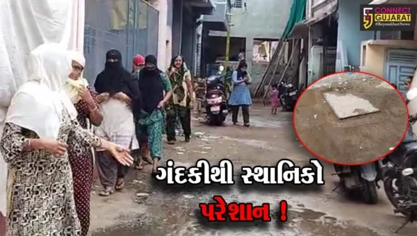 ભરૂચ: જંબુસરની નેશનલ પાર્ક સોસાયટીના રહીશો ઉભરાતી ગટર અને દુર્ગંધ મારતા પાણીથી પરેશાન