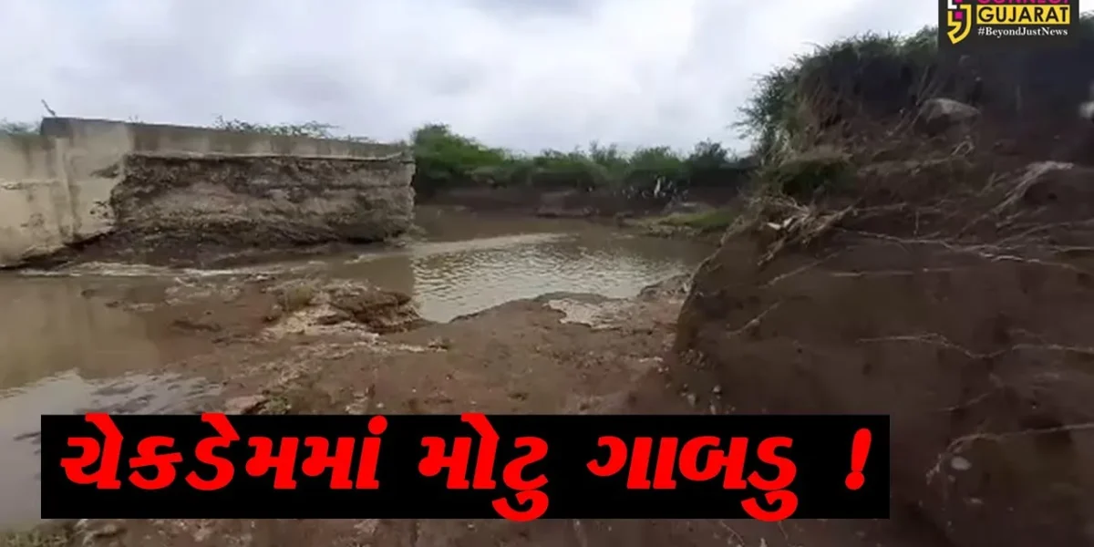 અમરેલી: સુરવો નદી પરના સૌથી મોટા ચેકડેમમાં મસમોટું ગાબડું,ખેડૂતોમાં આક્રોશ