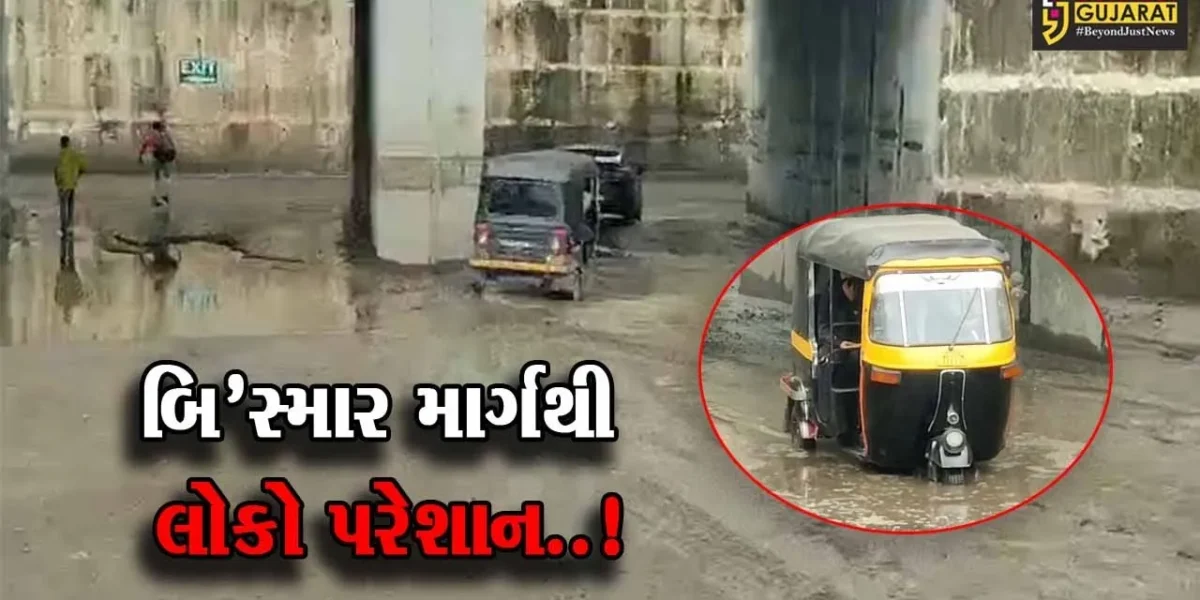 ભરૂચ : ઝઘડીયા GIDC વિસ્તારને જોડતા સ્ટેટ હાઇવે પર 3 ફૂટ ઉંડા ખાડા પડતાં માર્ગ બિસ્માર, વાહનચાલકોને હાલાકી…