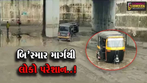 ભરૂચ : ઝઘડીયા GIDC વિસ્તારને જોડતા સ્ટેટ હાઇવે પર 3 ફૂટ ઉંડા ખાડા પડતાં માર્ગ બિસ્માર, વાહનચાલકોને હાલાકી…