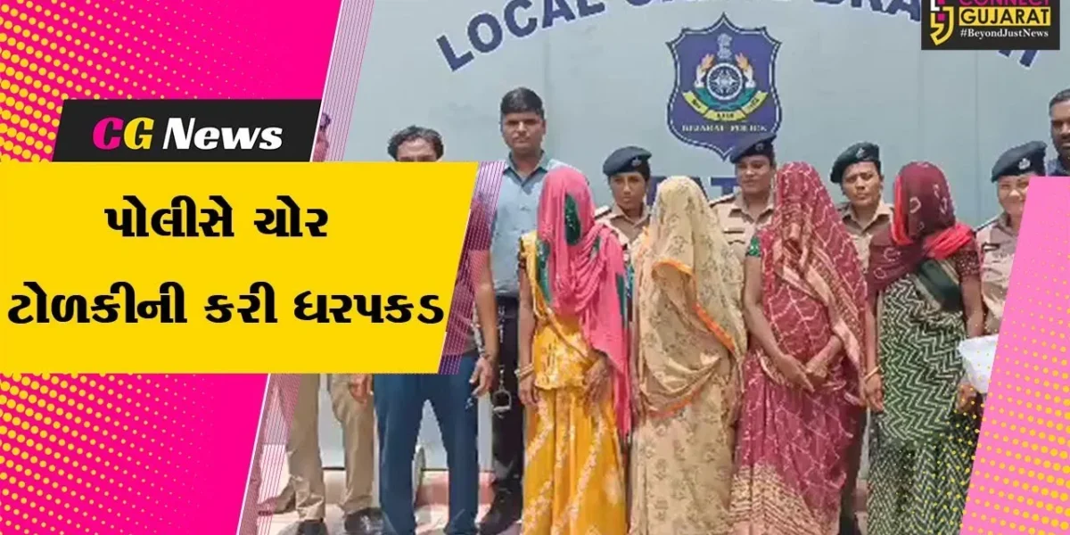 પાટણ: ચાર મહિલાઓએ 12 તોલા સોનાના દાગીનાની કરી ચોરી,પોલીસે ગણતરીના સમયમાં ઝડપી પાડી