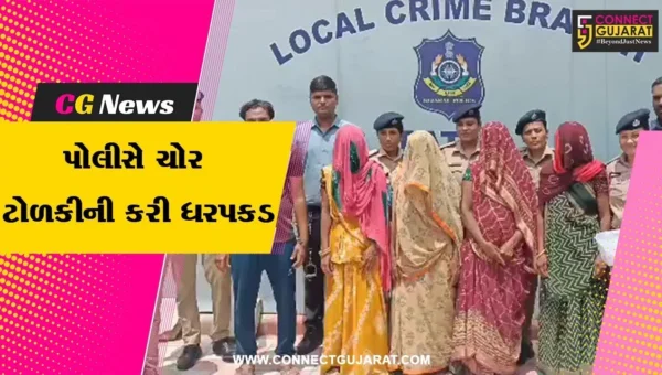 પાટણ: ચાર મહિલાઓએ 12 તોલા સોનાના દાગીનાની કરી ચોરી,પોલીસે ગણતરીના સમયમાં ઝડપી પાડી