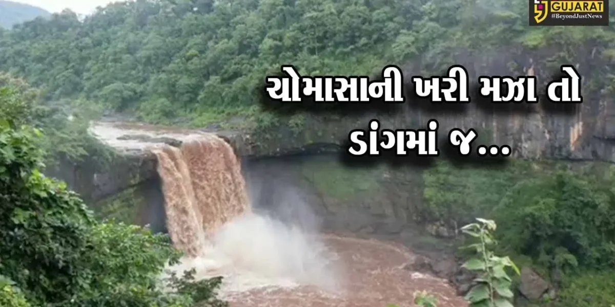 ચોમાસામાં પ્રકૃતિપ્રેમી પર્યટકોની પહેલી પસંદ ડાંગનો નાયગ્રા વોટર ફોલ તરીકે ઓળખાતો વઘઇનો ગીરાધોધ…