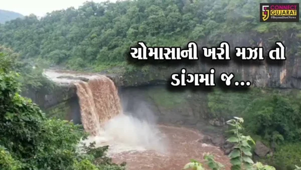 ચોમાસામાં પ્રકૃતિપ્રેમી પર્યટકોની પહેલી પસંદ ડાંગનો નાયગ્રા વોટર ફોલ તરીકે ઓળખાતો વઘઇનો ગીરાધોધ…