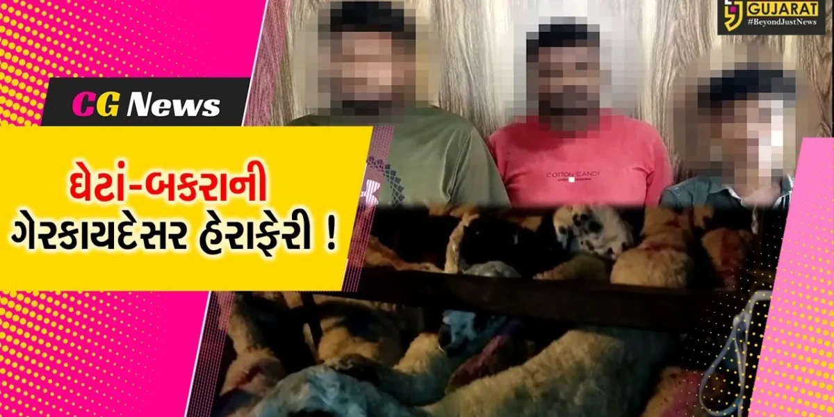 ભરૂચ: માંડવા ટોલ પ્લાઝા નજીકથી ગેરકાયદેસર હેરફેરી કરતાં ઘેટાં-બકરા ભરેલ ટ્રક ઝડપાય,પોલીસે કરી કાર્યવાહી
