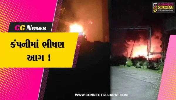 અંકલેશ્વર: પાનોલીની રીતુ ફાર્મા કંપનીમાં ધડાકા સાથે ભીષણ આગ,9 કામદારોનો આબાદ બચાવ