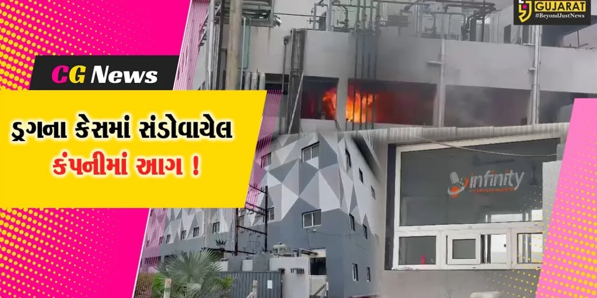 અંકલેશ્વર:રૂ.4856 કરોડના ડ્રગના કેસમાં સંડોવાયેલી ‎ઇન્ફિનિટી કંપનીમાં આગ લાગતાં તર્કવિતર્ક‎