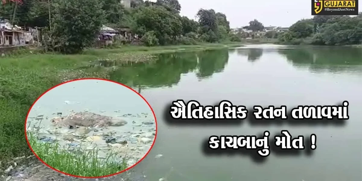 ભરૂચ:ઐતિહાસિક રતન તળાવમાં દુર્લભ કાચબાનું મોત,જીવદયા પ્રેમીઓમાં રોષ