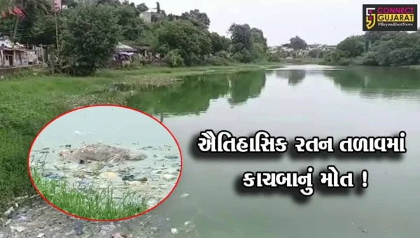 ભરૂચ:ઐતિહાસિક રતન તળાવમાં દુર્લભ કાચબાનું મોત,જીવદયા પ્રેમીઓમાં રોષ