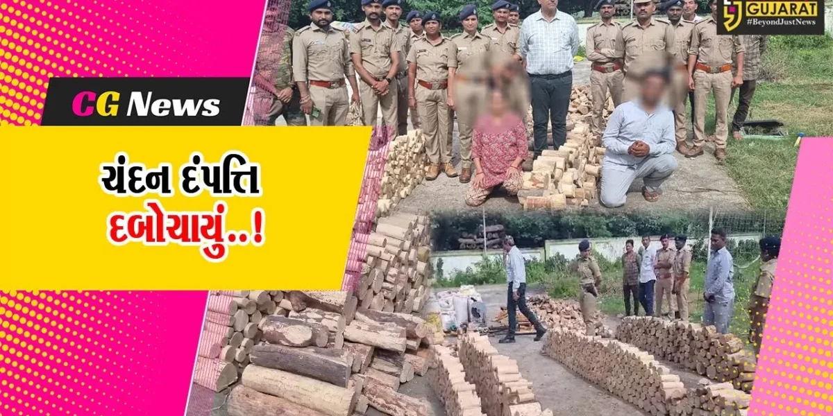 ભરૂચ : વાલિયાના રૂંધા ગામે ચાલતા ગેર’કાયદે ચંદન વેચાણના કૌભાંડનો પર્દાફાશ, મૂળ સુરતના દંપત્તિની અટકાયત…