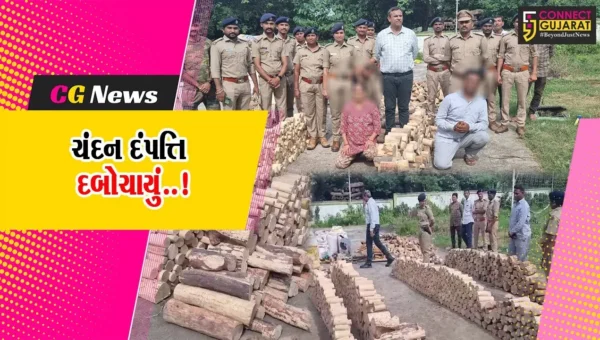 ભરૂચ : વાલિયાના રૂંધા ગામે ચાલતા ગેર’કાયદે ચંદન વેચાણના કૌભાંડનો પર્દાફાશ, મૂળ સુરતના દંપત્તિની અટકાયત…