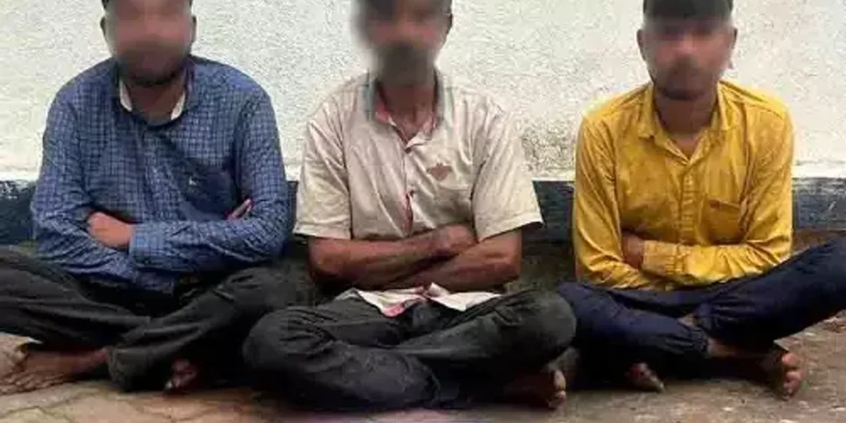 જુનાગઢ : ચોરી કરેલા દાગીનાનો ભાગ પાડવા જતાં પડી પોલીસની રેડ, 3 તસ્કરોની ધરપકડ…
