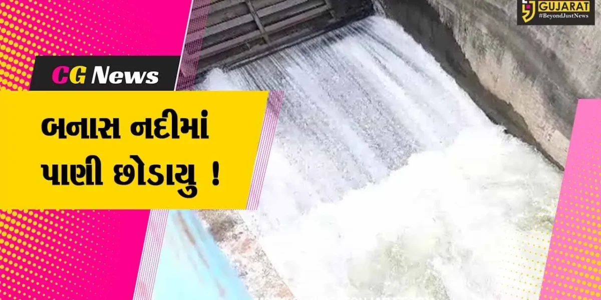 પાટણ: MLA લવિંગજી સોલંકીના હસ્તે બનાસ નદીમાં પાણી છોડવામાં આવ્યુ,ખેડૂતોમાં ખુશીનો માહોલ