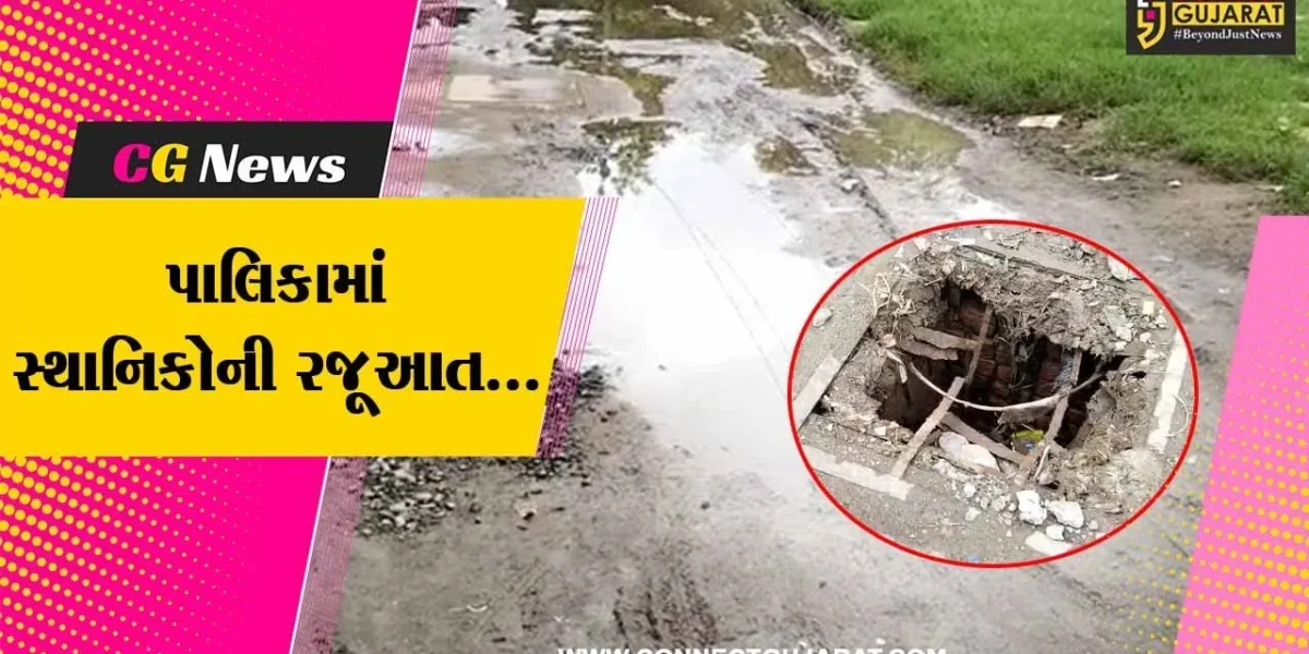 ભરૂચ : સર્વોદય સોસાયટીમાં રોડ અને ગટરની સમસ્યાથી ત્રસ્ત સ્થાનિકોની પાલિકા કચેરીએ રજૂઆત…