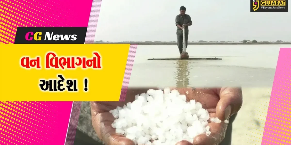 સુરેન્દ્રનગર: અભ્યારણ્યમાં અગરિયાકાર્ડ ધરાવતા અગરિયાઓ જ આગામી સિઝનમાં પ્રવેશ મેળવી શકશે