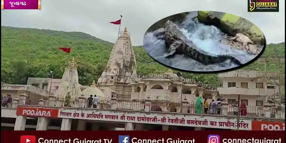 જૂનાગઢ દામોદર કુંડમાં સ્નાન કરતા પહેલા જોઈ લો આ વિડિઓ, નહીંતર મોતના મુખમાં હોમાઈ જશો