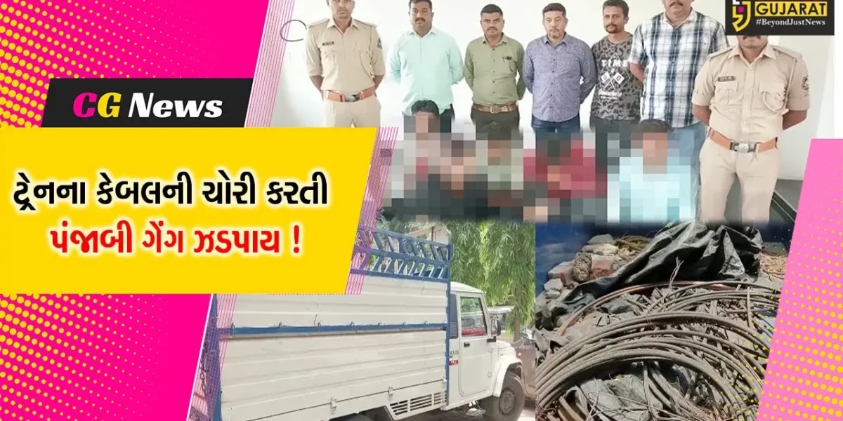 ભરૂચ:ક્રાઇમ બ્રાન્ચે પંજાબી ગેંગના 6 સાગરીતોની કરી ધરપકડ, ગુડ્સ ટ્રેનના રેલ્વે ટ્રેકમાંથી કોપર કેબલની કરતા હતા ચોરી