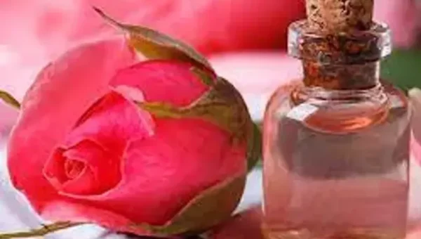 રાતે સૂતા પહેલા ચહેરા પર લગાવો આ 4 માંથી એક વસ્તુ, ફેશ પર આવશે ઇન્સ્ટન્ટ ગ્લો………