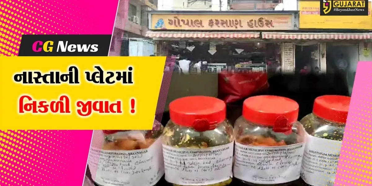 ભાવનગર: ફરસાણની દુકાનમાં નાસ્તો કરતા ગ્રાહકની પ્લેટમાં જીવાત નિકળ્યુ, આરોગ્ય વિભાગે તપાસ શરૂ કરી