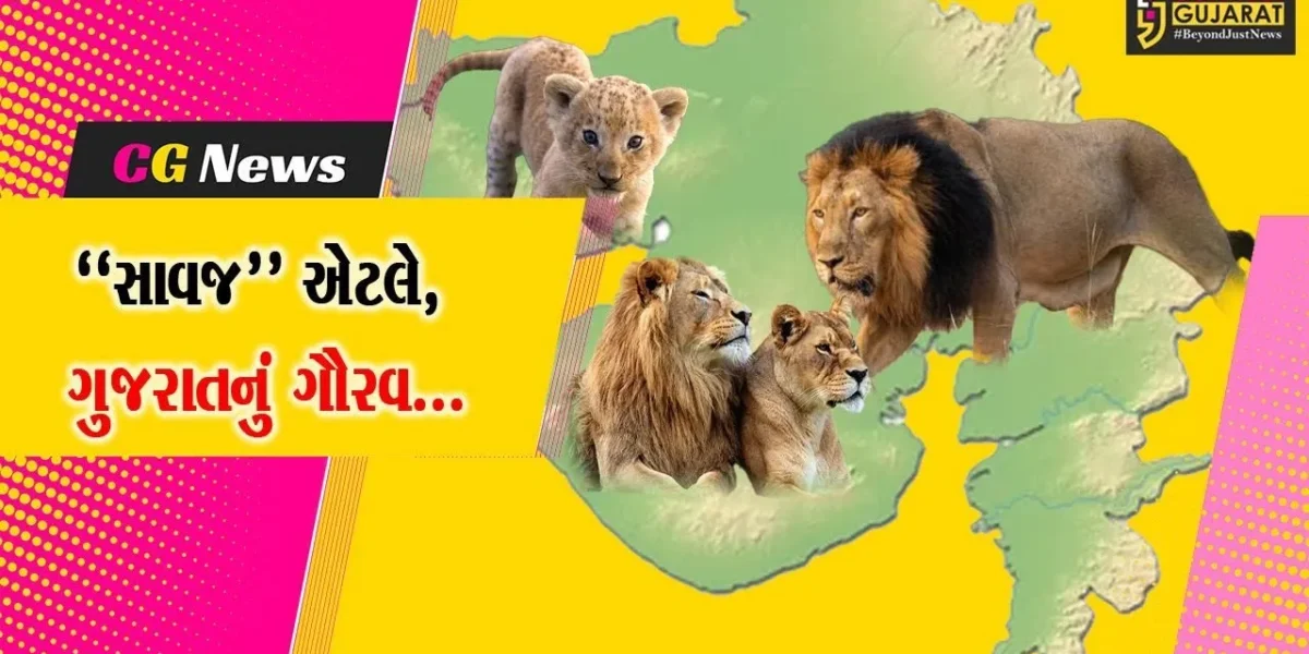 ગુજરાતનું ગૌરવ “સાવજ” : આજે વિશ્વ સિંહ દિવસ એટલે, જંગલના રાજા સિંહને ઓળખવાનો દિવસ…