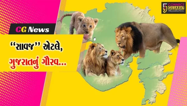 ગુજરાતનું ગૌરવ “સાવજ” : આજે વિશ્વ સિંહ દિવસ એટલે, જંગલના રાજા સિંહને ઓળખવાનો દિવસ…