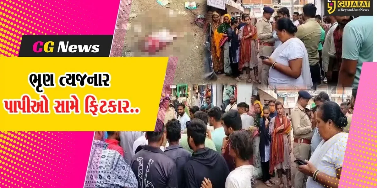 અરવલ્લી : મેઘરજમાં વિકસિત બાળકીનું ભૃણ મળી આવતા ચકચાર, પોલીસની નક્કર કાર્યવાહી…