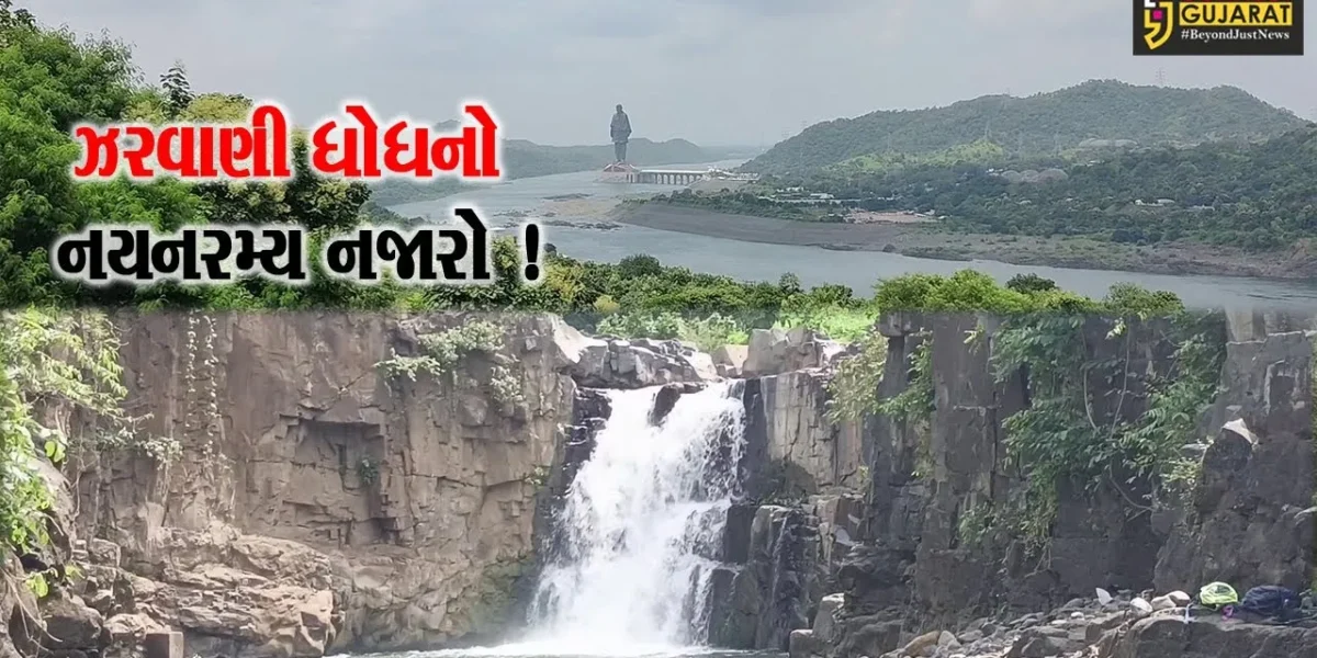 નર્મદા: ચોમાસાની સિઝનમાં ઝરવાણી ધોધ સોળે કળાએ ખીલી ઉઠયો,મોટી સંખ્યામાં ઉમટી રહ્યા છે પ્રવાસીઓ
