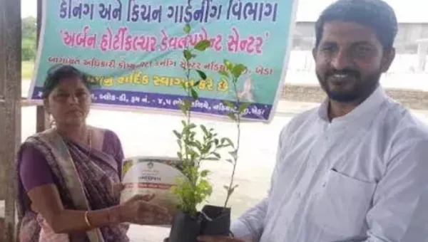 ખેડા : કપડવંજ બાગાયત ખાતા દ્વારા “અર્બન હોર્ટિકલ્ચર ડેવલપમેન્ટ” અંતર્ગત તાલીમ શિબિર યોજાય…