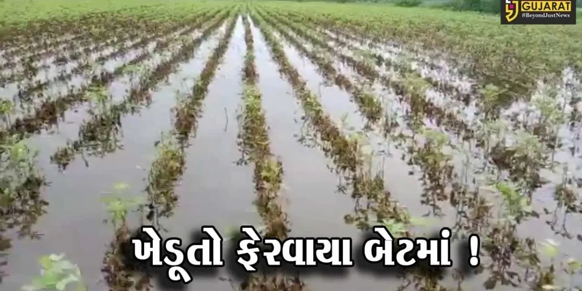 ગીરસોમનાથ: ત્રણ ગામોની 800 વીઘાથી વધુ જમીન બેતમા ફેરવાતા ખેડૂતોને વ્યાપક નુકશાન,જુઓ શું છે કારણ