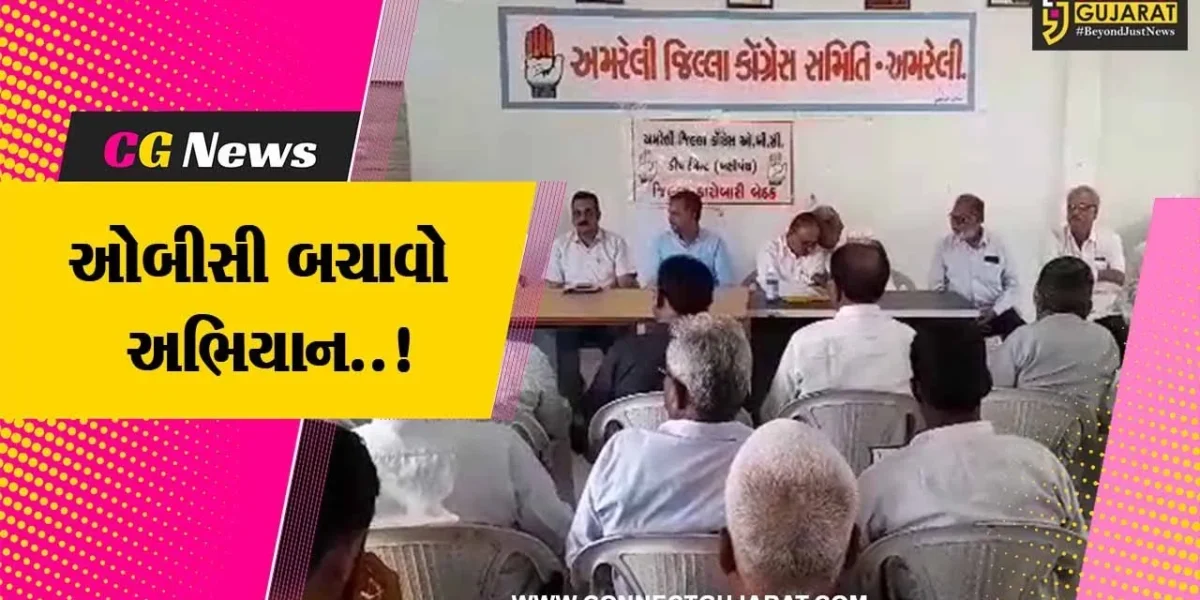અમરેલી : ગુજરાત ઓબીસી સમાજના પ્રદેશ અધ્યક્ષ ઋત્વિજ મકવાણાની અધ્યક્ષતામાં બેઠક યોજાય…